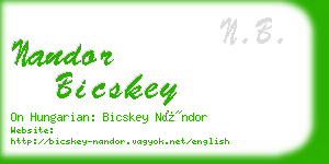 nandor bicskey business card